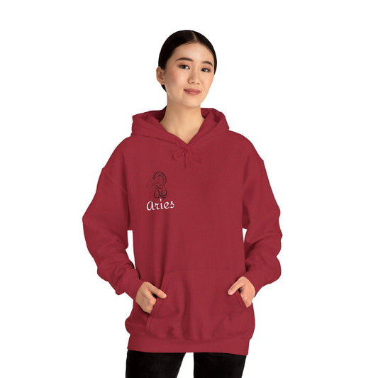 Astrological Aries Hoodie - Cozy Unisex Hoodie for Astrology Lovers, Star Sign Clothing